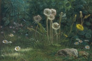 karahindiba by Jean Francois Millet